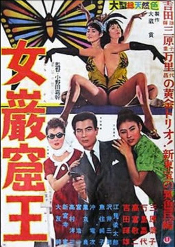 Póster de 女巌窟王