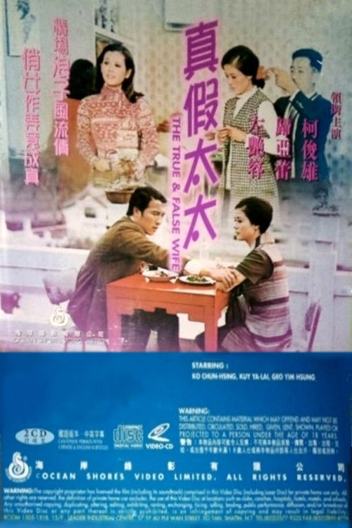 Póster de 真假太太