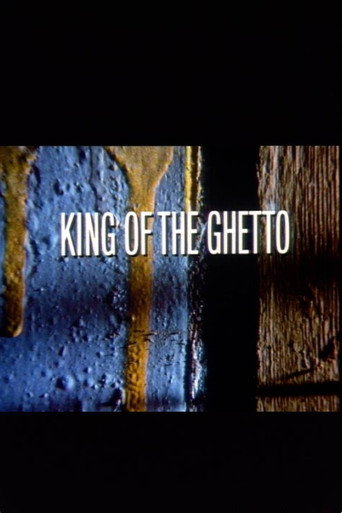 Póster de King of the Ghetto