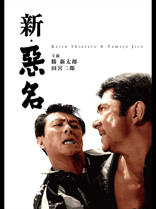Póster de 新・悪名