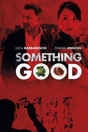 Póster de Something Good