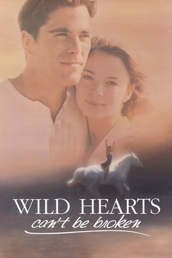 Póster de Wild Hearts Can't Be Broken