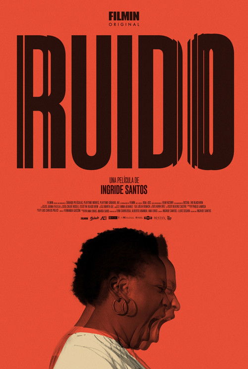 Póster de Ruido