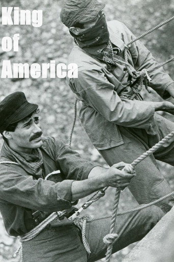 Póster de King of America