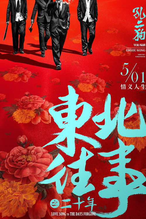 Póster de 东北往事之二十年