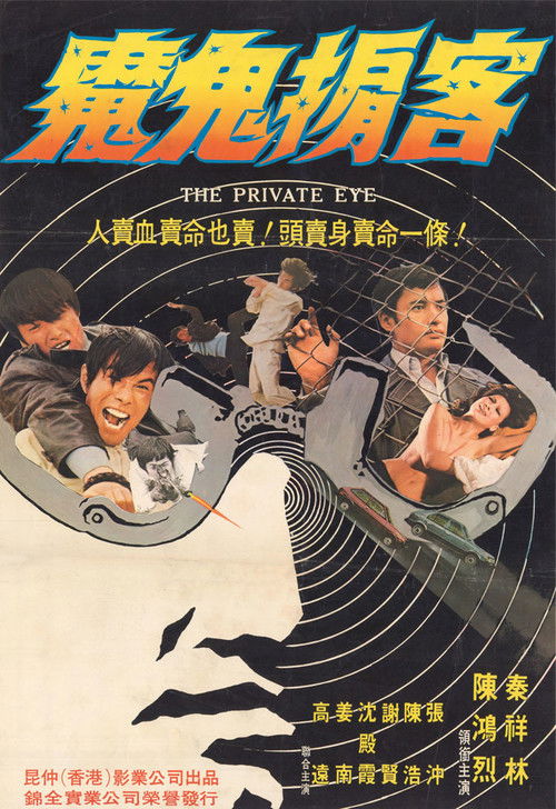 Póster de 大密探