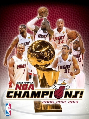 Póster de 2013 NBA Champions: Miami Heat