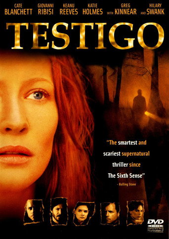 Póster de Testigo
