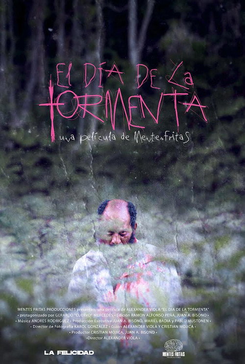 Póster de El dia de la tormenta
