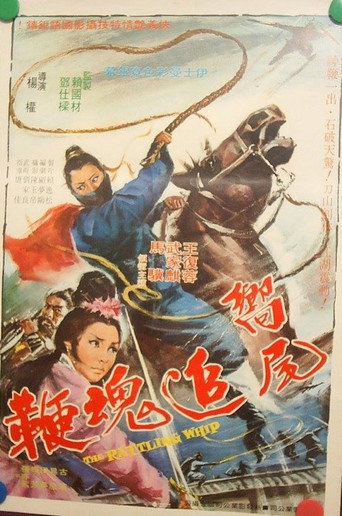 Póster de 响尾追魂鞭