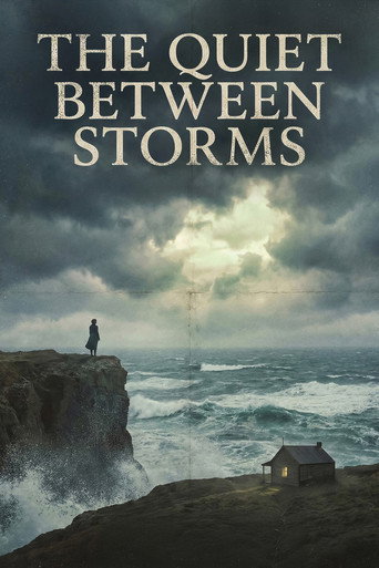 Póster de The Quiet Between Storms