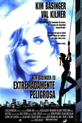 Póster de The Real McCoy