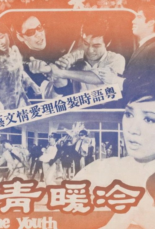 Póster de 冷暖青春