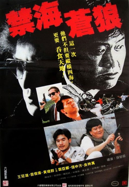 Póster de 禁海苍狼