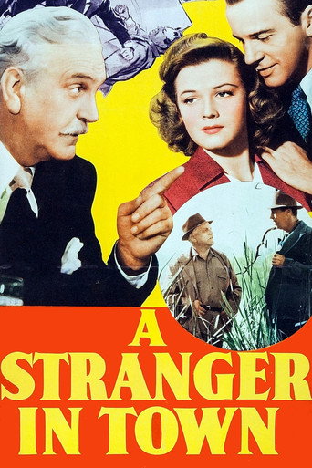 Póster de A Stranger in Town