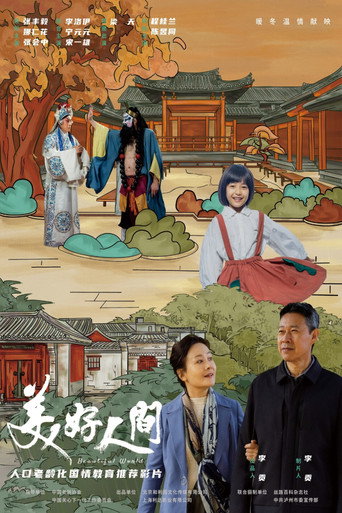 Póster de 美好人间