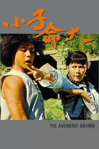 Póster de 小子命大