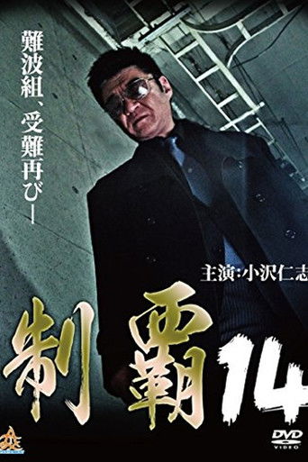 Póster de 制覇１４