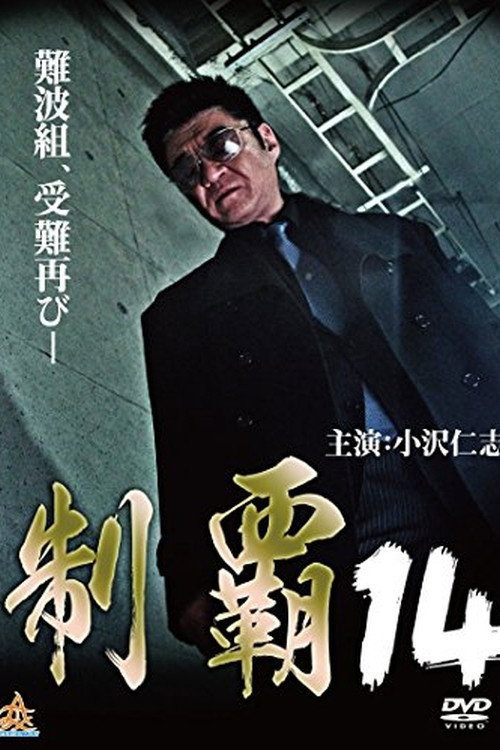 Póster de 制覇１４
