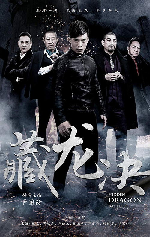Póster de 卧虎悍将