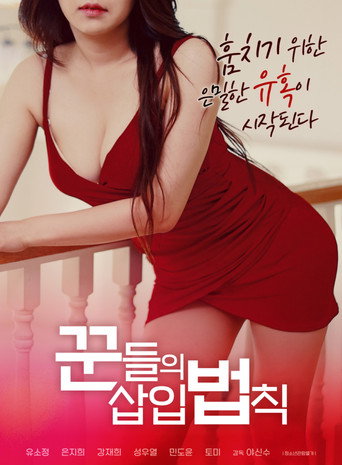 Póster de 꾼들의 삽입 법칙