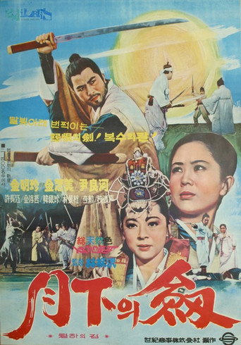 Póster de 월하의 검