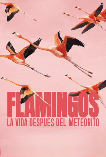 Póster de Flamingos: La vida después del meteorito
