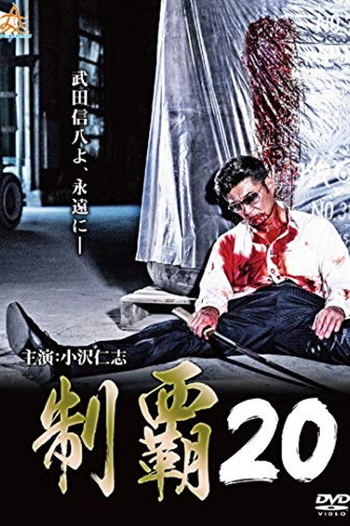 Póster de 制覇２０