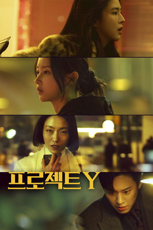 Póster de Project Y