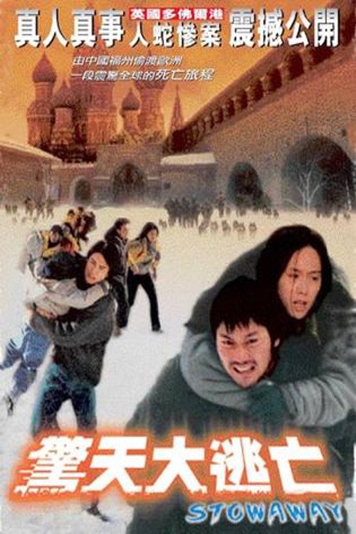 Póster de 驚天大逃亡
