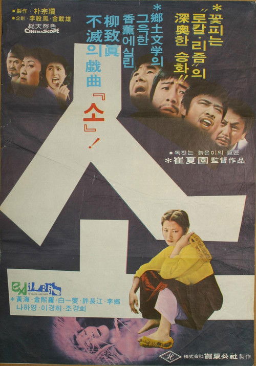 Póster de 소
