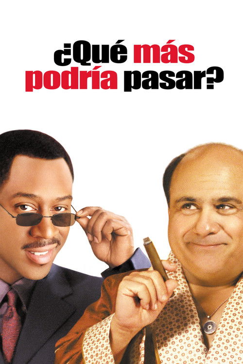 Póster de ¿Qué más podría pasar?