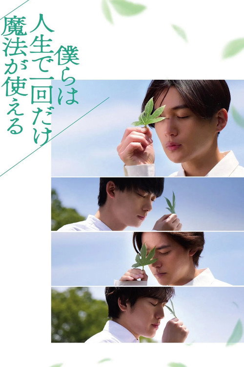 Póster de 僕らは人生で一回だけ魔法が使える