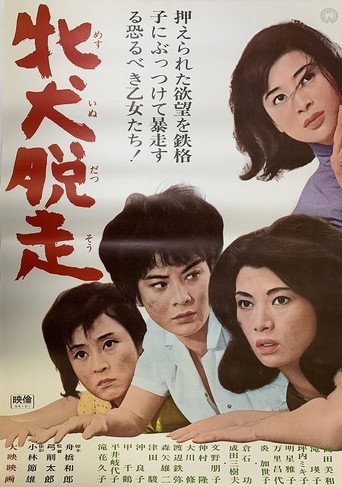 Póster de 牝犬脱走
