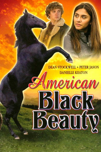 Póster de American Black Beauty