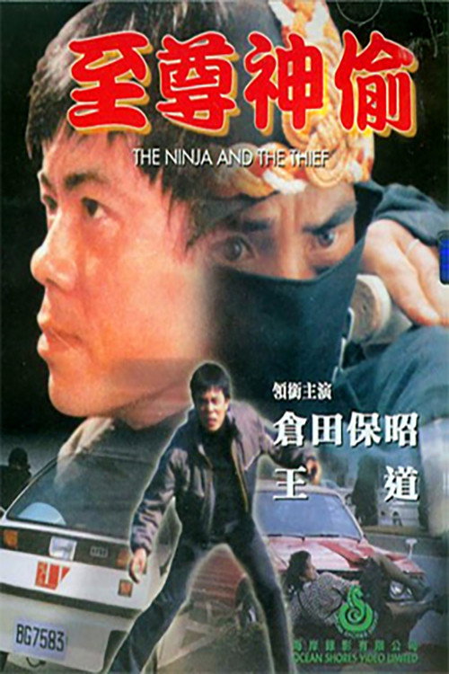 Póster de 至尊神偷