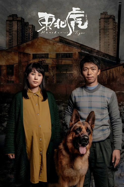 Póster de 东北虎