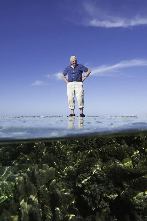 Póster de Reef Diaries