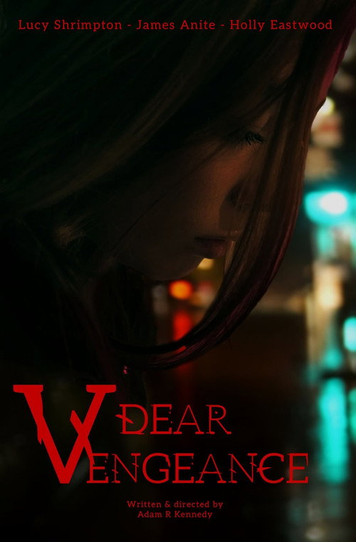 Póster de Dear Vengeance