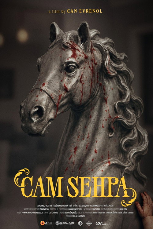 Póster de Cam Sehpa