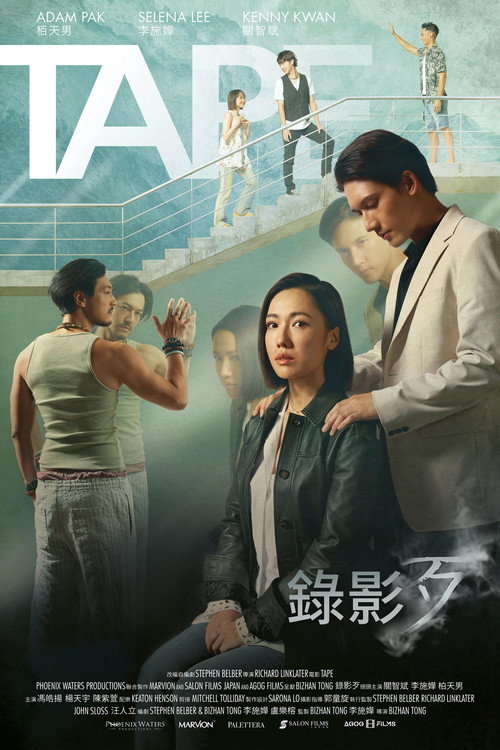 Póster de 錄影歹