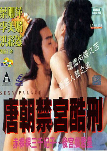 Póster de 唐朝後宮的秘密