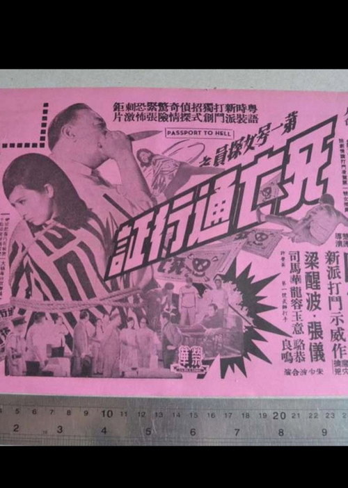 Póster de 第一號女探員之死亡通行証