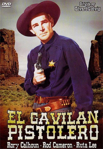 Póster de The Gun Hawk