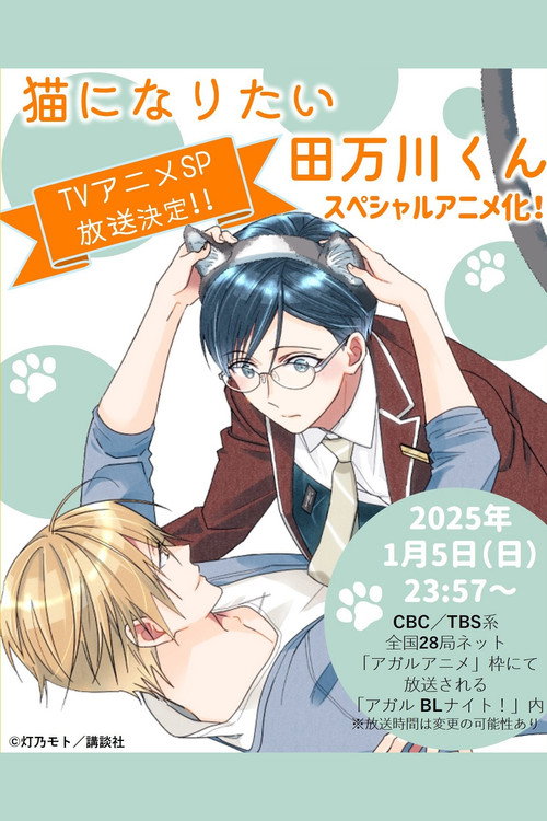 Póster de 猫になりたい田万川くん