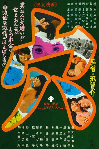 Póster de 穴