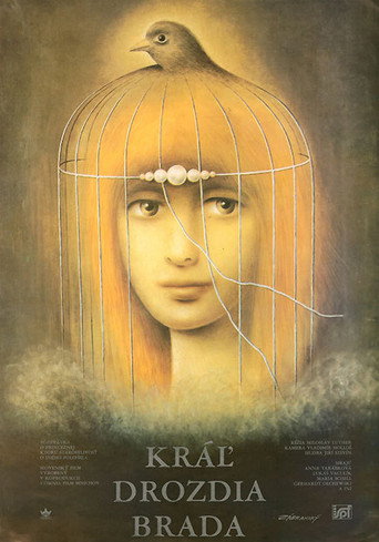 Póster de Kráľ Drozdia brada