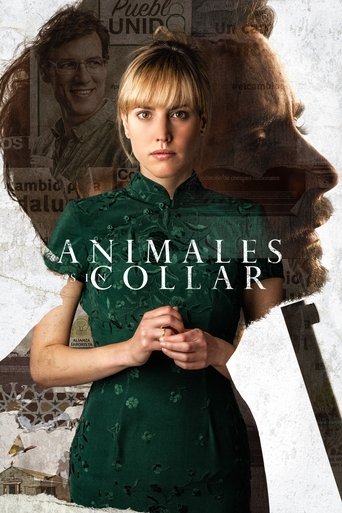 Póster de Animales sin collar