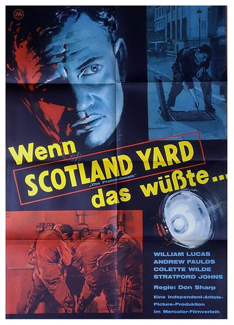 Póster de The Professionals