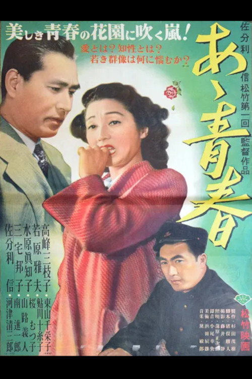 Póster de あゝ青春